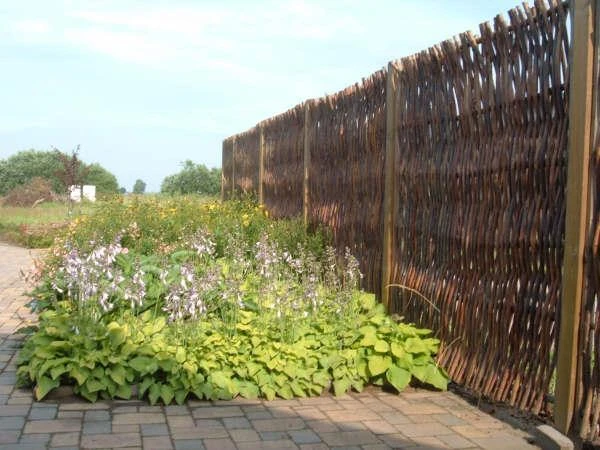 Wilgenenscherm 180 x 180 cm (1800 x 1800 mm) - Afbeelding 2